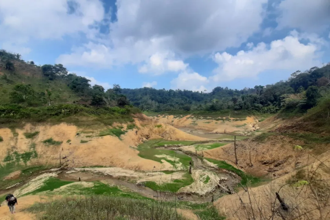Vietnam’s Robusta Coffee Crisis: Production Plunge Drives Purchase Prices Over 100 Million VND, Global Supply Tightens