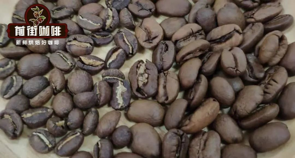 Unveiling the Maragogype Elephant Bean: The Flavor and Growing Challenges of the Arabica Giant