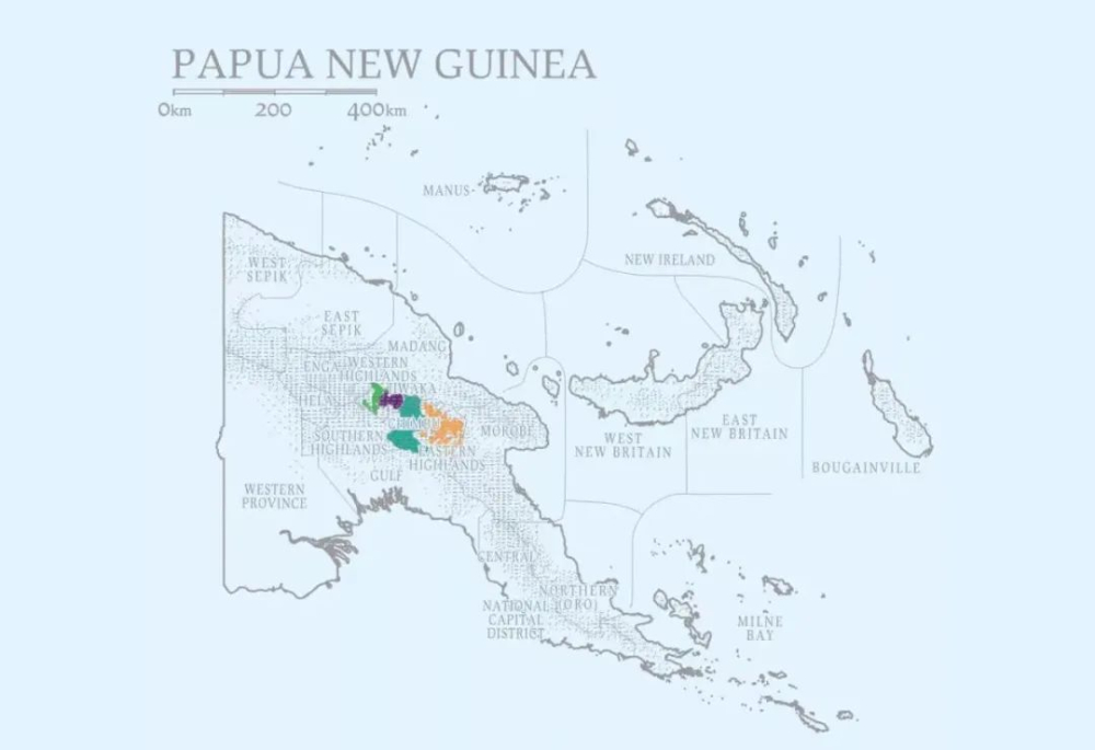 Unveiling the Flavors of Papua New Guinea Coffee: Why It’s Called the “Little Blue Mountain”? Planting & Brewing Guide