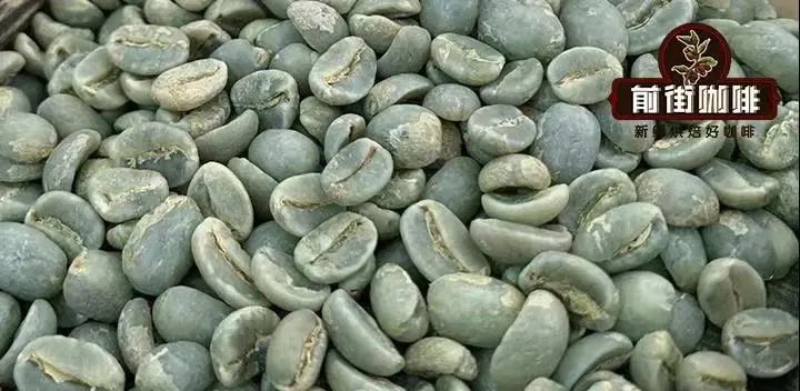 Unveiling the Flavors of Papua New Guinea Coffee: Why It’s Called the “Little Blue Mountain”? Planting & Brewing Guide