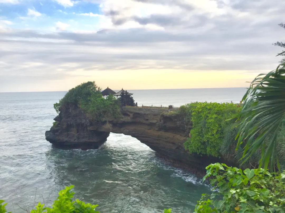 An Introduction to Indonesian Sumatra Lintong Mandheling: A Comprehensive Guide to the Region, Varieties, and Pour Over Parameters