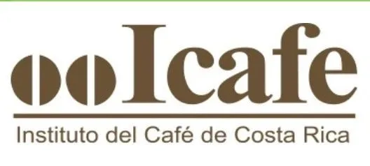 The Backstory Behind Concentrated Coffee Variety Planting: The Evolution from Coffee Leaf Rust to Lab-Based Breeding