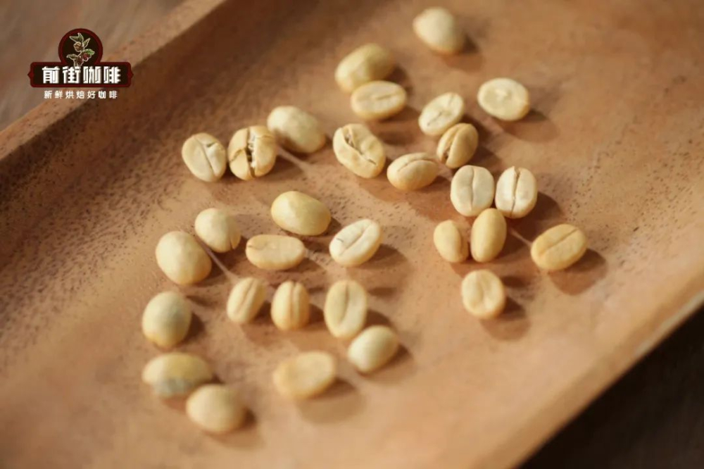 From Coffee Cherry to Coffee Bean: A Complete Guide to Structure and Flavor Components
