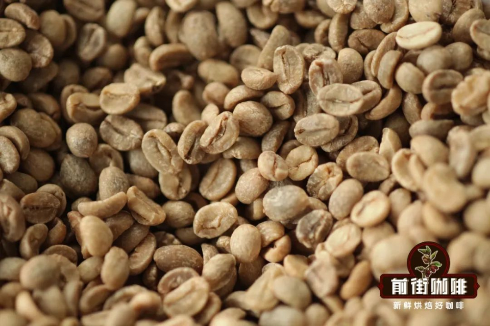 Essential Guide Before Coffee Roasting: The Three Key Characteristics of Green Beans and How to Identify Defective Beans