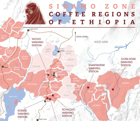 In-depth Analysis of Ethiopia’s Bensa Microregion: A Complete Guide to Sidama Coffee Processing Methods and Flavor Origins