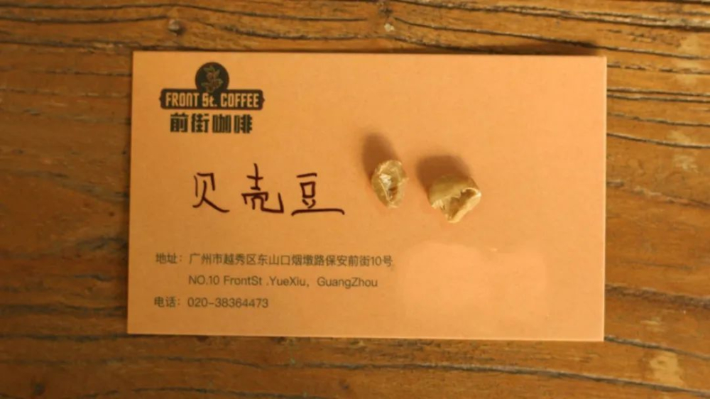 Essential Guide Before Coffee Roasting: The Three Key Characteristics of Green Beans and How to Identify Defective Beans
