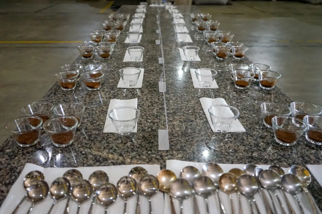 The 2024 Ethiopia COE Competition is back!Analysis of highlights from the natural and washed division competitions and auction