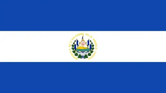 Decoding Salvadoran Coffee Flavors: Characteristics of the Pacas and Pacamara Varieties and a Guide to Their Growing Regions