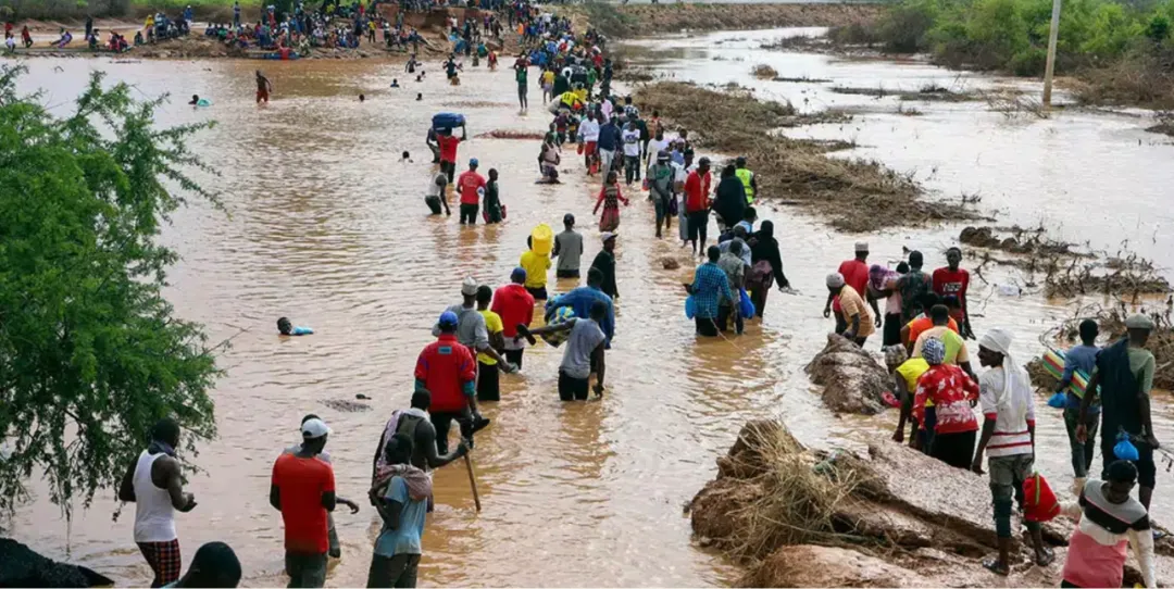 Heavy rains ravage East Africa, severely impacting coffee-growing regions; Sidamo and Nyeri face production decline crisis