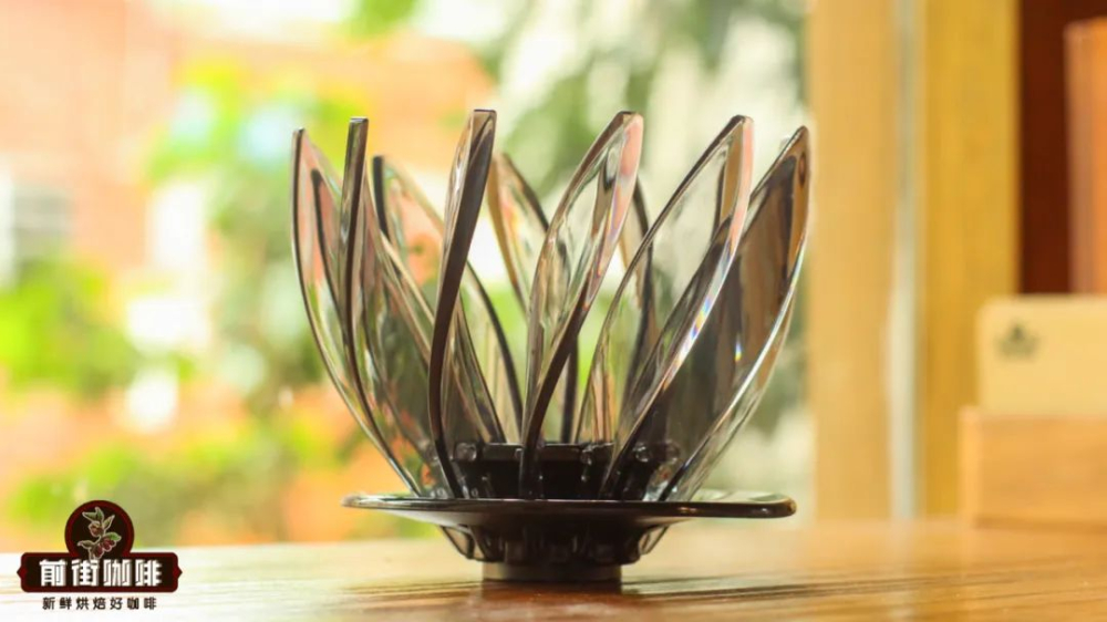 Comparison of Hario Lily Dripper and V60: Flow Rate Differences, Detachable Leaf Features, and Pour Over Brewing Tips