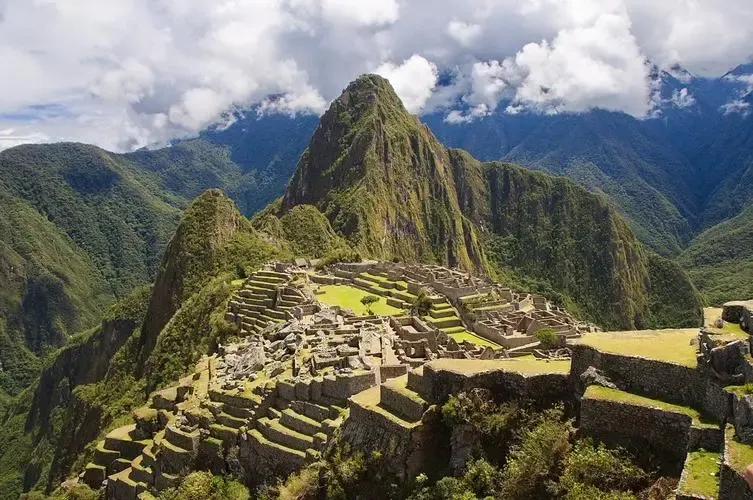 How to Choose Premium Peruvian Coffee Beans? From Andean Highlands Flavors to Washed Geisha