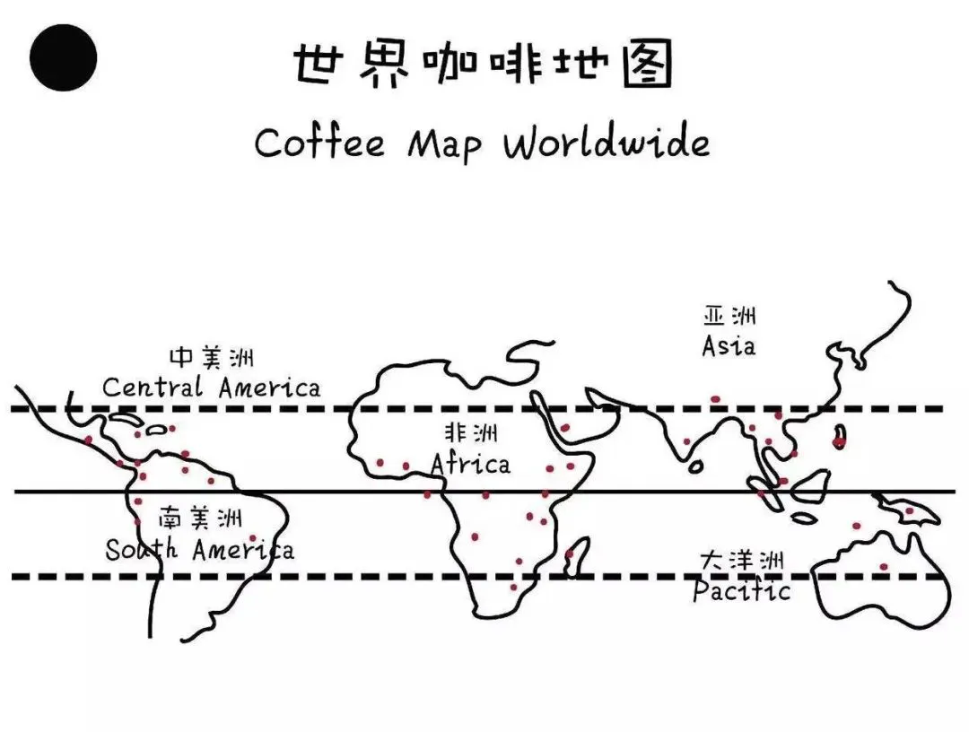 In-depth Analysis of the Hawaiian Kona Coffee Region: The Perfect Combination of Typica Variety, Volcanic Soil, and Washed Processing