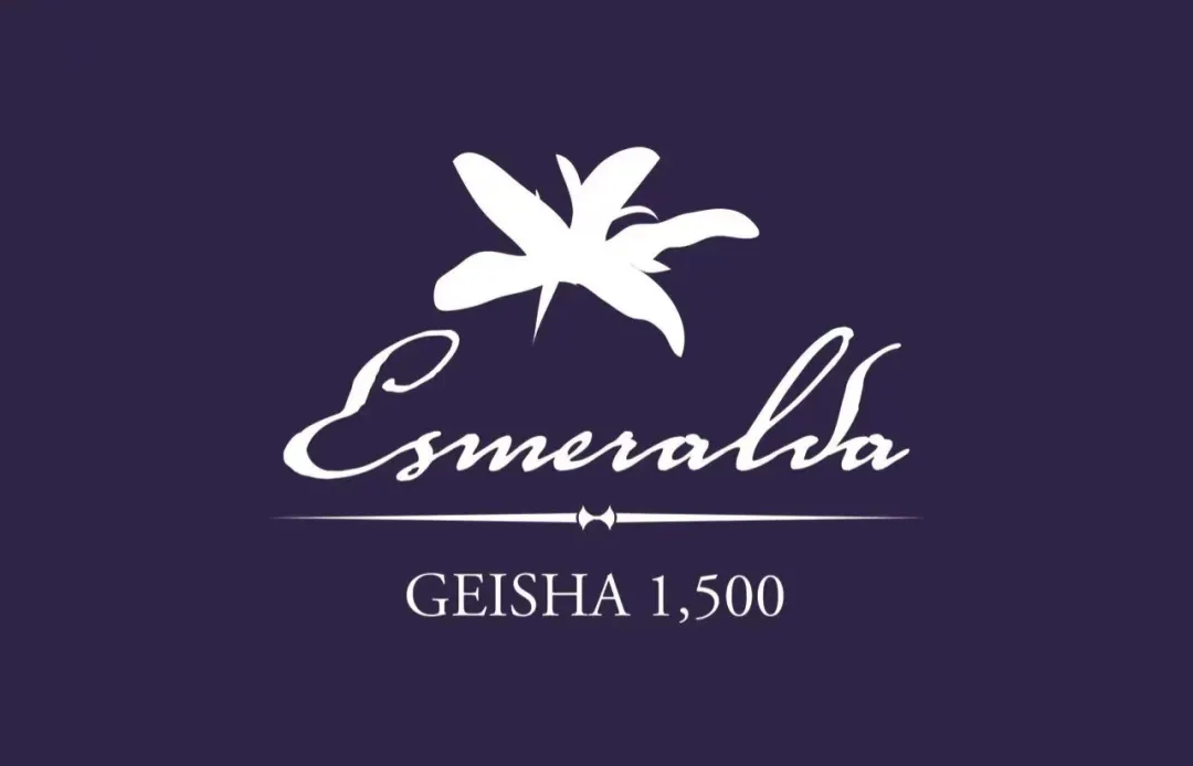 Analysis of Panama Geisha Beans from Finca El Bosque: What’s the Difference Between Red and Green Labels? A Complete Guide to BOP Champion Flavors