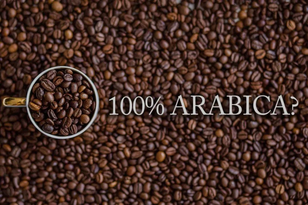 The Truth About 100% Arabica Coffee Beans | The Reason Chain Brands Emphasize It and the Key to Quality