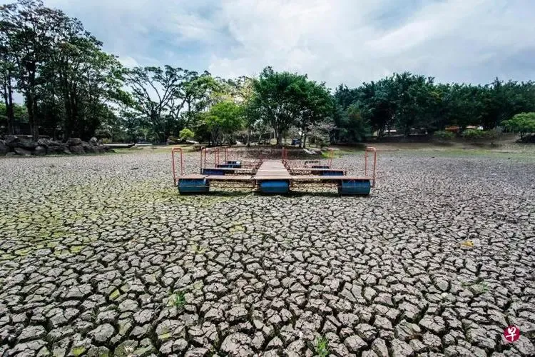 Costa Rica Coffee Crisis: How Climate Change Affects Flavor and the Industry Chain?