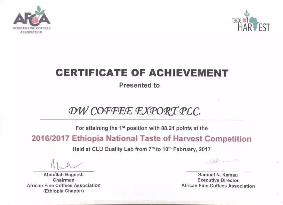 Analysis of the Differences Between Ethiopian Huakui 8.0 and Geisha Varieties | Pour Over Brewing Parameters and Flavor Characteristics of Natural Sun-Dried Beans
