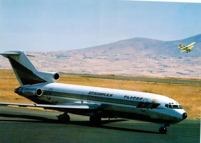 Analysis of Logistics Challenges in Ethiopian Coffee Exports Amid Eritrea Flight Suspensions