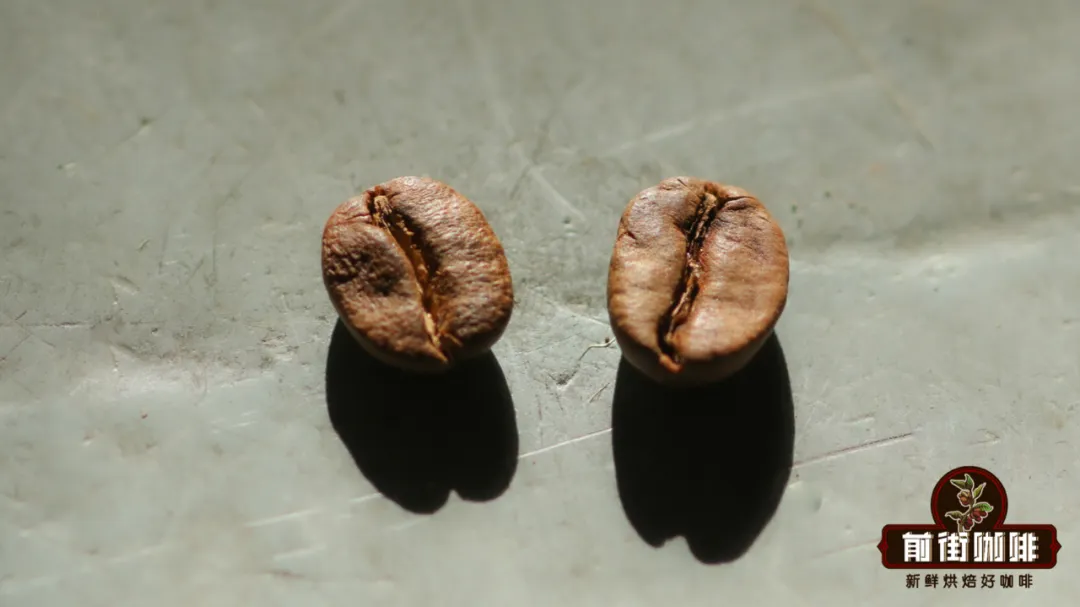 Analysis of the Differences Between Peaberry and Flat Beans: The Cause of Pea-Shaped Coffee, the Myth of Male and Female Beans, and the Reasons Behind the Price