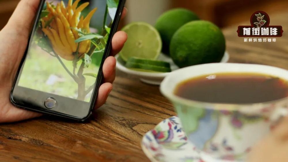 What is bergamot flavor in coffee? Bergamot vs. bitter orange: A flavor guide and pour over experience