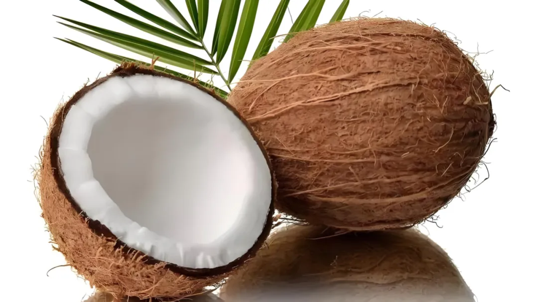 Complete Guide to Summer Coconut-Flavored Coffee Drinks: Flavor Differences from Young Coconut to Thick Coconut Milk & DIY Methods