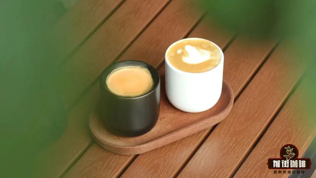 Coffee Combo Basics: A Complete Guide to Pairing Techniques and Bean Selection with One Bean, Many Variations