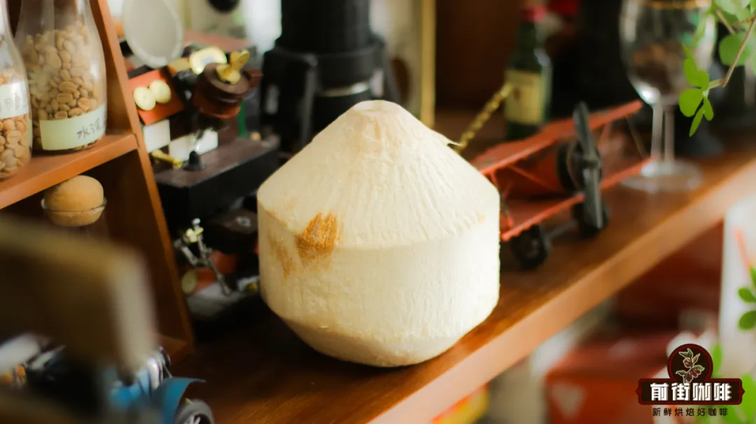Complete Guide to Summer Coconut-Flavored Coffee Drinks: Flavor Differences from Young Coconut to Thick Coconut Milk & DIY Methods