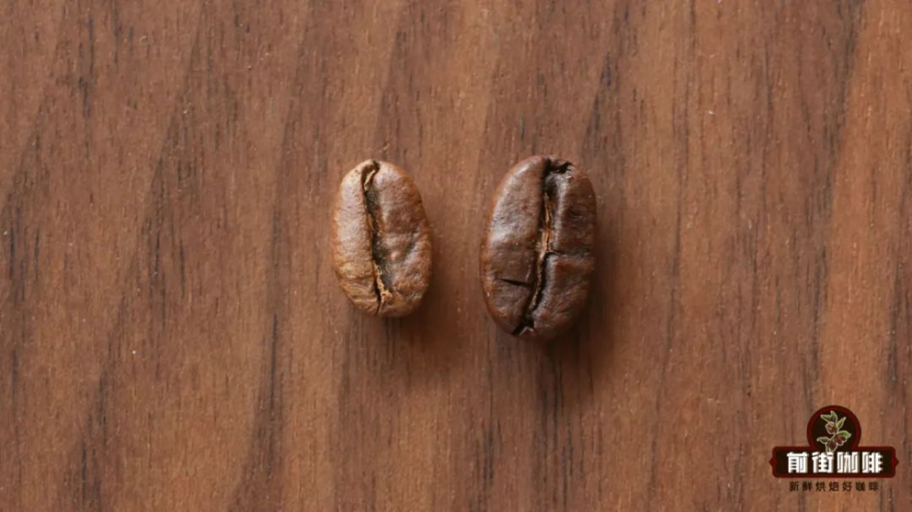 The Complete Guide to Coffee Bean Resting & Degassing | Essential Freshness Management Tips for Beginner Pour Over Brewers