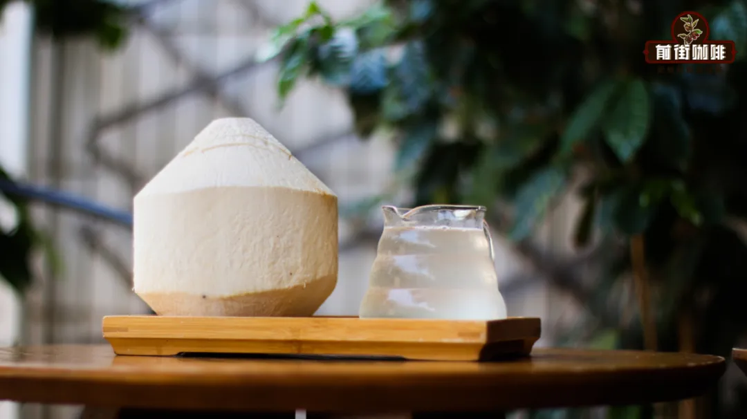 Complete Guide to Summer Coconut-Flavored Coffee Drinks: Flavor Differences from Young Coconut to Thick Coconut Milk & DIY Methods