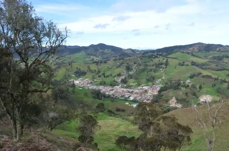 Introduction to Colombia's Antioquia Coffee Region: The Rise of the Caturra Variety and Pour Over Flavor Profile