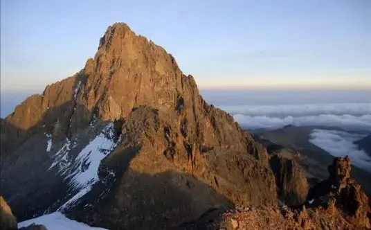 Flavor Analysis of Kenya Kirinyaga Coffee: Purple Fruit Profile & Washed Process Insights