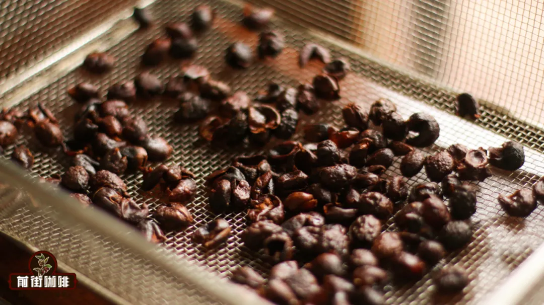 How to Brew Coffee Cherry Tea (Cascara): A Complete Guide from Production to Flavor, Strength, and Brewing Techniques
