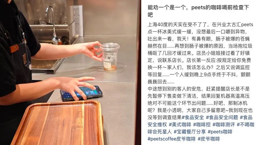 A fly found in a cold brew at Peet's Coffee in Shanghai！Regulatory investigation and food safety considerations