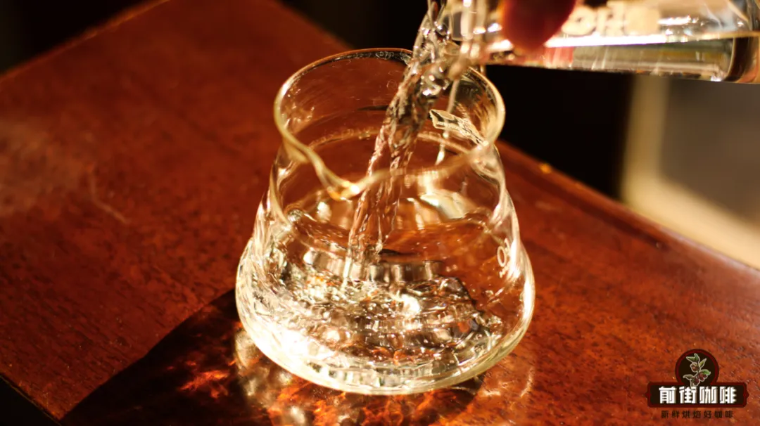8-Hour Cold Brew Extraction Principle | Guide to the Differences and Flavor Profiles of Cold Brew vs. Ice Drip