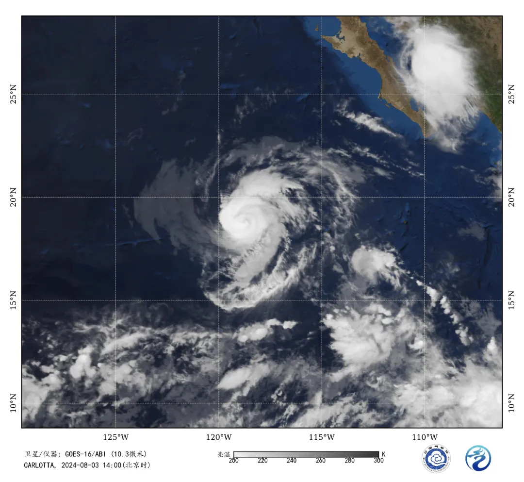 Tropical Storm Carlotta ravages, Mexico's coffee regions face a 50% production drop crisis