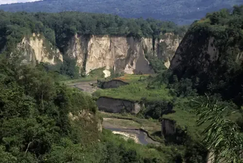 A Complete Guide to Indonesia's Sumatra Coffee Region: The Flavor Secrets of Mandheling and Golden Mandheling
