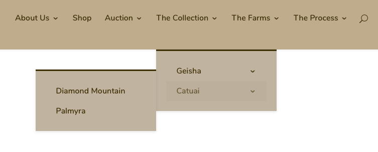 In-depth Analysis of Emerald Estate Diamond Mountain Beans | A Guide to Purchasing High-Altitude Pour Over Beans from Panama