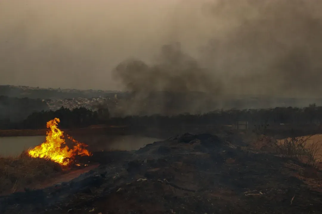 Wildfires rage in São Paulo, Brazil!What challenges do the new season's coffee beans face?