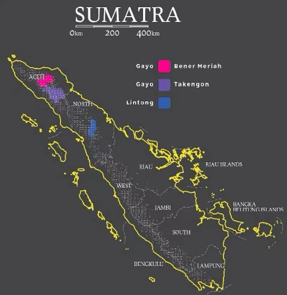 A Comprehensive Guide to Indonesian Coffee Regions: Mandheling Flavor Profiles and Green Bean Grading Standards