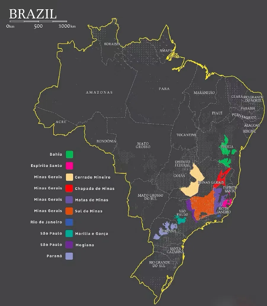 A Complete Map of Brazil's Specialty Coffee Regions: From Cerrado to Mogiana – Origins and Renowned Estates