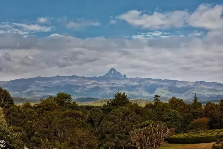 A Comprehensive Guide to Kenya’s Coffee Growing Regions: The Flavor Secrets at the Foot of the Western Mount Elgon Volcano