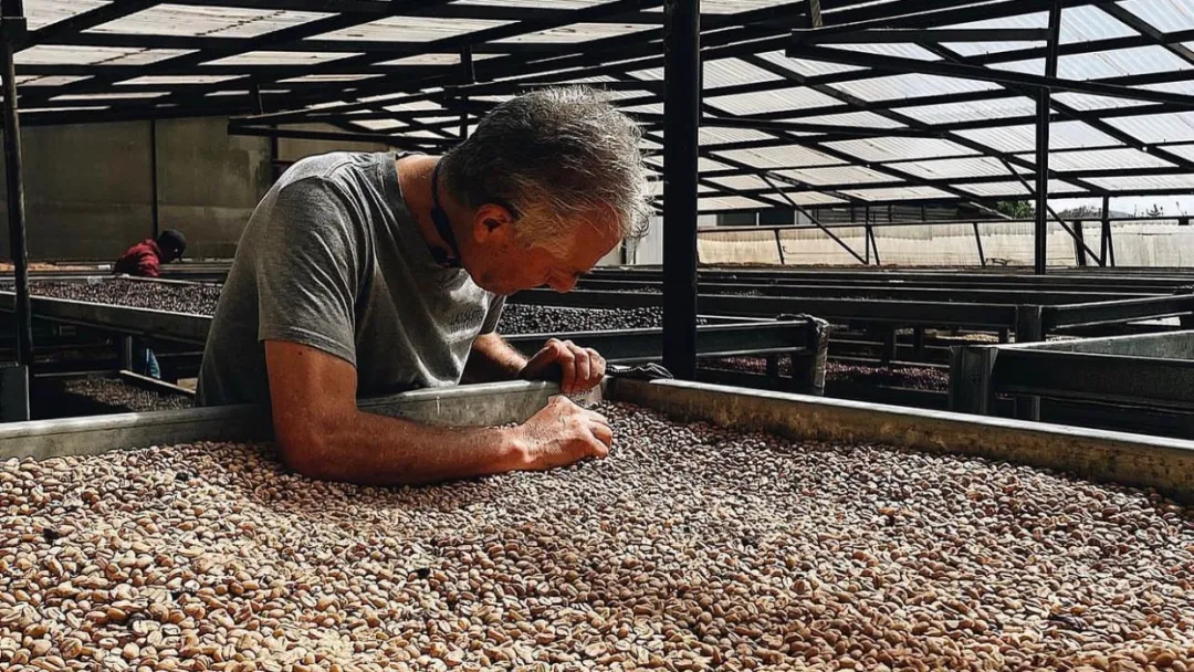 Decoding the Flavors of Panama Elida Geisha: The Lamastus Family’s Century-Old Cultivation and Natural Processing Mastery