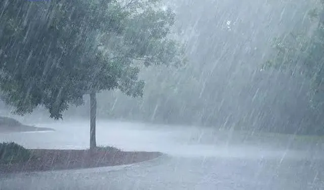 Tropical Storm Carlotta ravages, Mexico's coffee regions face a 50% production drop crisis