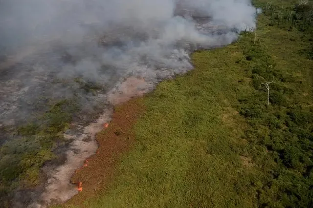 Wildfires rage in São Paulo, Brazil！What challenges do the new season's coffee beans face?