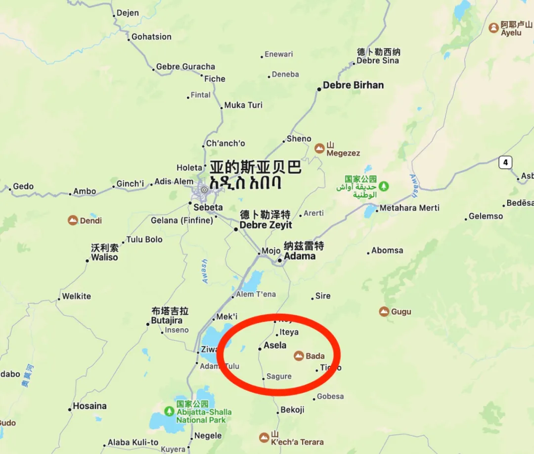 Unrest intensifies in southern Ethiopia, raising supply chain risks for coffee-growing regions