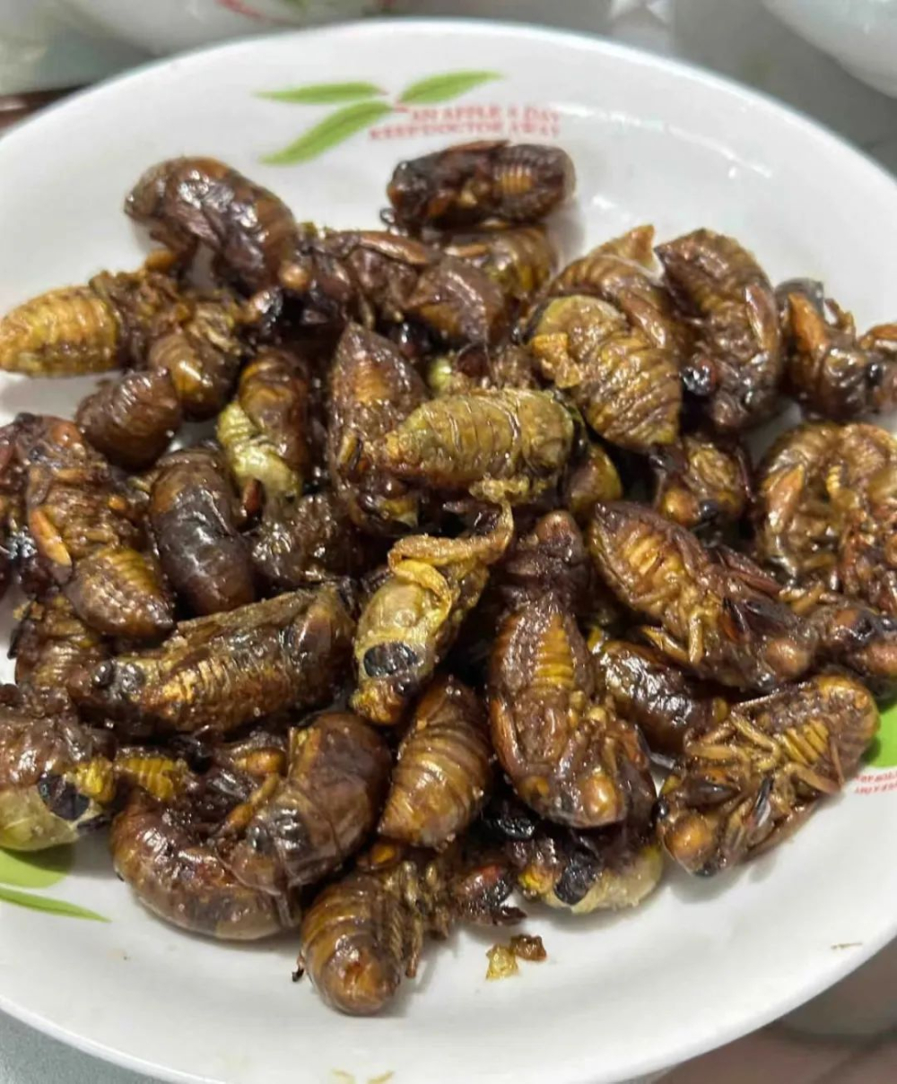 Guangzhou coffee shop unveils deep-fried cicada special drink, exploring all the risks and challenges of summer insect beverages