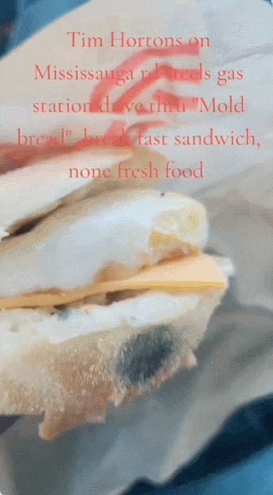 Tim Hortons food safety and staff misconduct controversy: Behind the moldy sandwich and saliva experiment