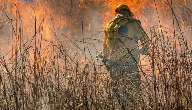 Brazil drought and wildfires rage on!
Coffee-growing regions in crisis, price surge unstoppable
