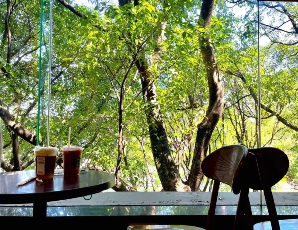 The first Starbucks in Guilin goes dark: Behind the closure of this decade-old store lies the shifting urban business landscape