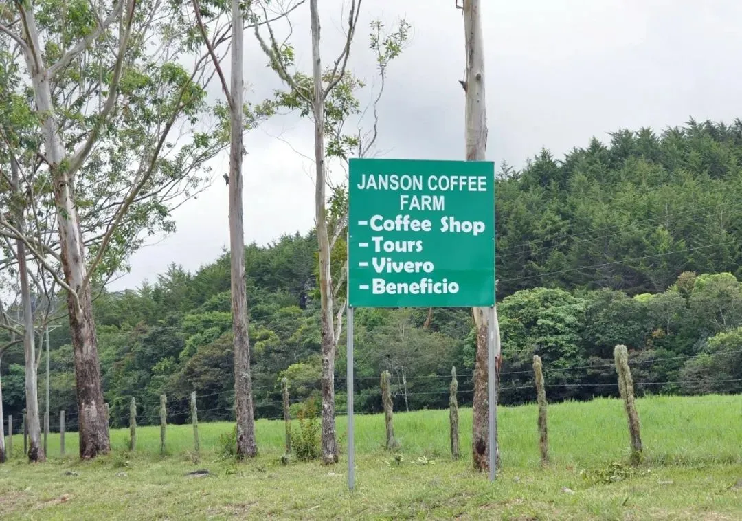 In-depth Analysis of Panama Jensen Gesha Natural Process Beans | A Comprehensive Guide from Cultivation to Flavor