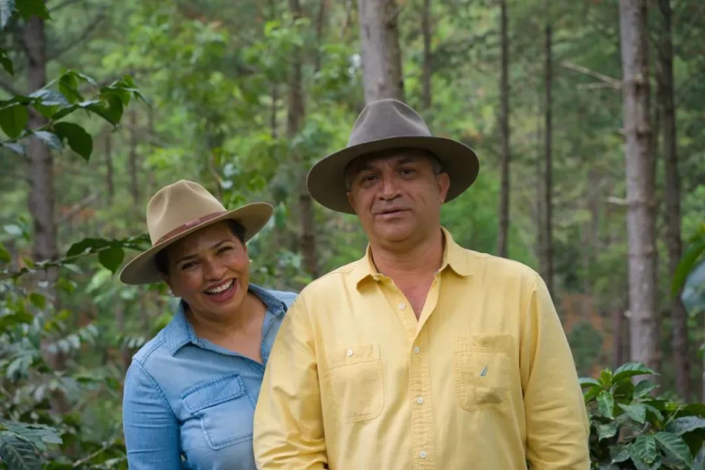 A Complete Guide to Honduras' Six Major Coffee Regions: From Montecillos Flavors to the Carballo Family